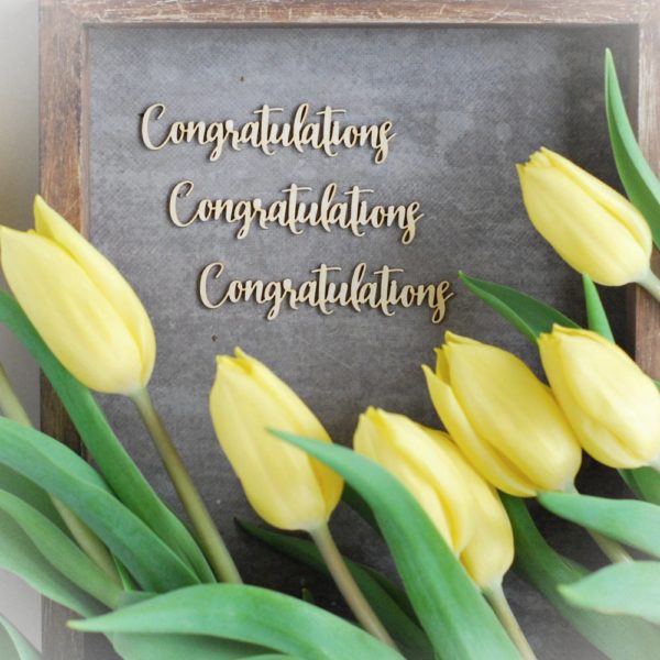 congratulations set of decorative laser cut chipboard words