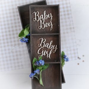 decorative laser cut chipboard sentiments baby girl baby boy